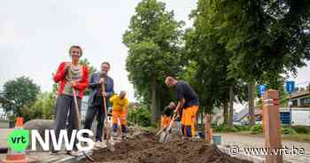 Mechelen stelt onthardingsteam aan: "Straatpaaltjes worden vervangen door plantenvakken" - VRT NWS