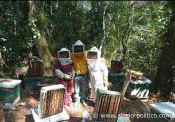 Casa de la Cultura Coatepec invita al festival “Abejas y Fertilidad” - alcalorpolitico