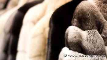 Mette in vendita la pelliccia, ma viene truffata da due finti acquirenti: ci rimette mille euro - AnconaToday