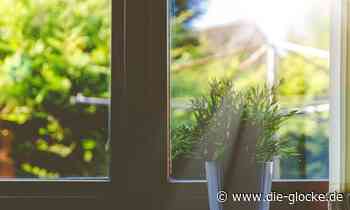 Wohnung in Verl stellt sich als Garage heraus - Die Glocke