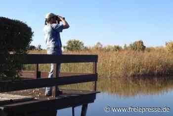 Limbach-Oberfrohna reagiert auf Fälle von Vandalismus im Teichgebiet - freiepresse.de