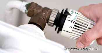 Elektroverband: Klug Energie sparen - Wirtschaft - DIE RHEINPFALZ - Rheinpfalz.de