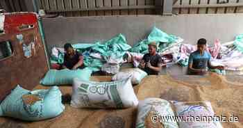 Moskau sagt 50 Millionen Tonnen Getreideexport zu - Wirtschaft - Rheinpfalz.de