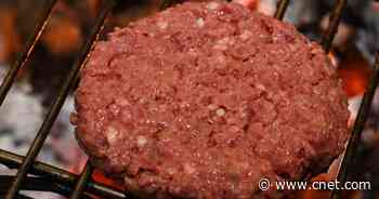 Impossible Burger vs. Beef: Which is Healthier?     - CNET