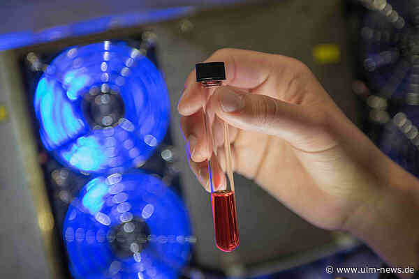 Grüner Wasserstoff nach dem Vorbild der Natur