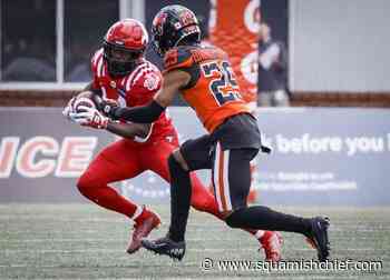 Stampeders roll over Lions 41-6 in CFL pre-season opener - Squamish Chief