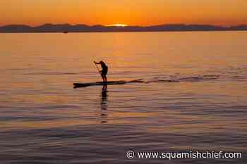 Man arrested after thieves steal SUPs, kayaks from West Vancouver marina - Squamish Chief