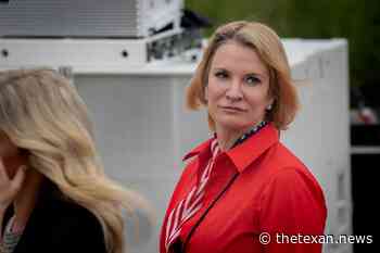 Dawn Buckingham Handily Wins GOP Primary Runoff for Land Commissioner - The Texan