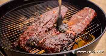 Charcoal, Gas, Electric, Pellet: Here's What Type of Grill You Should Buy     - CNET