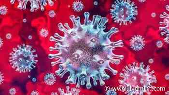 How Does The Coronavirus Evolve In Humans? New Iit Delhi Study Reveals | Mint - Mint