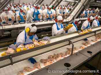 Modena, si ammala di Covid al lavoro e muore: azienda e cooperativa accusati di omicidio - Corriere