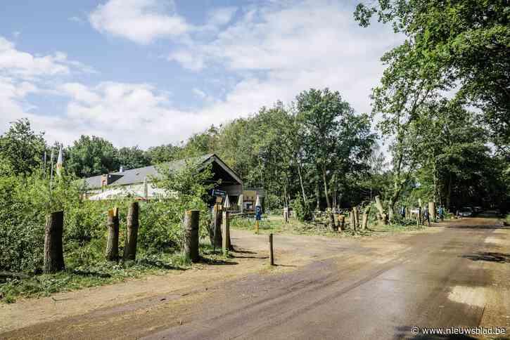 Zware verslagenheid bij bezoekers van De Liereman na zoveelste daad van vandalisme: “Dit is moord”