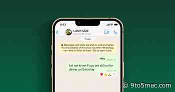 WhatsApp for iOS improving Reactions feature in new update