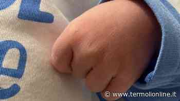 Termoli: E' nato Ludovico: cordone d'amore da Cesena a Termoli - Termoli Online