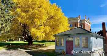 Cayuga County museums awarded state grants | Lifestyles | auburnpub.com - The Citizen