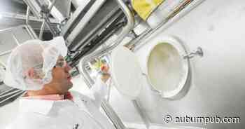 Ellis leaving Cayuga Milk Ingredients to become Upstate Niagara CEO - The Citizen