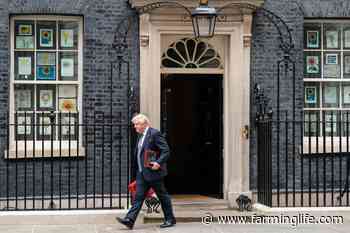 Cash unlikely to solve issues at heart of the crisis - Farming Life