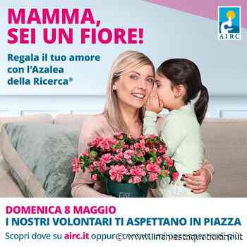 Sora, domenica azalee per la ricerca nelle piazze Santa Restituta e San Rocco | www.linchiestaquotidiano.it - L'Inchiesta Quotidiano OnLine