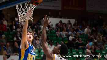 NBL1 West: Mandurah Magic take another disappointing loss to Geraldton Buccaneers - PerthNow
