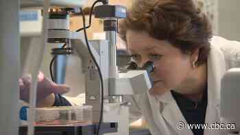 How the war in Ukraine threatens decades of scientific research