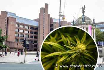 Man in court over producing cannabis - St Helens Star