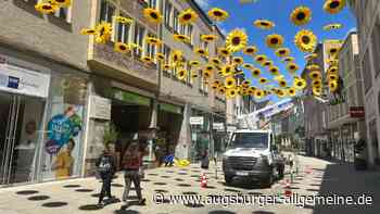 Knallgelbe Sonnenblumen verschönern die Augsburger Fußgängerzone