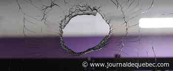 La pandémie a mis un frein à la hausse des crimes par armes à feu