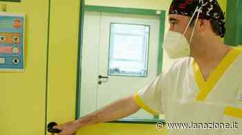Vaiolo delle scimmie, nessun caso a Prato "Il covid ci ha insegnato ad arginare i contagi" - LA NAZIONE