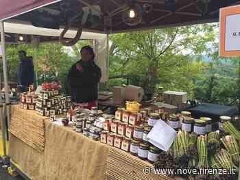 Prato: gli appuntamenti del fine settimana - Nove da Firenze