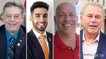 Hamilton East-Stoney Creek: 'Up in the air' or NDP mainstay? Political experts divided on future of riding