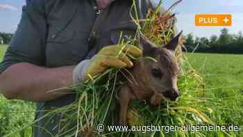 Unterwegs mit den "Kitz-Rettern": Drohne soll gefährdete Tiere im Feld finden