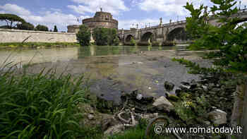 Tevere: caldo e siccità si fanno sentire, livello del fiume più basso degli ultimi anni