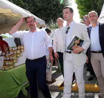 Législatives dans le Var: "Eric Zemmour, c'est pas Dieu", ironise Jordan Bardella