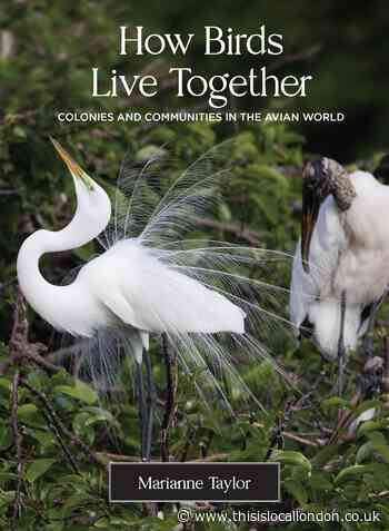 Wild Things: Living in a community