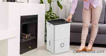 Prevent Dangerous Mold Build-Up With This $170 Home Dehumidifier ($50 Off)     - CNET