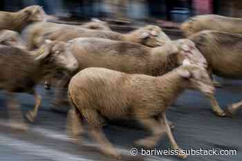 Today’s Students — The Problem With “Excellent Sheep”