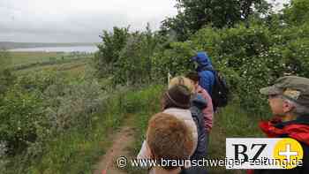 Flözerfest: So verändert sich der Lappwaldsee im Kreis Helmstedt