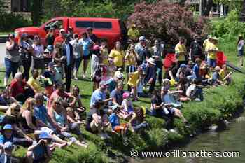 Return of Coldwater Duck Race makes a splash (6 photos) - OrilliaMatters