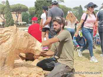 A Piazza di Siena un albero abbattuto diventa opera d’arte - Adnkronos