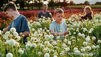 Close, un'opera sui condizionamenti sociali difficili da sormontare - MYmovies.it