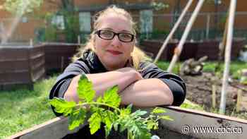 Edmonton's Wâposo-Wâti Park and Community Garden is a hopping urban green space - CBC.ca