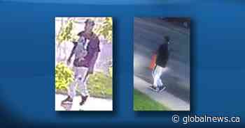 Man wanted after young woman sexually assaulted in west Edmonton - Global News