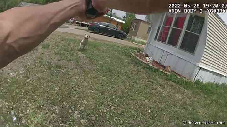 VIDEO: Dog Who Reportedly Attacked Boy Goes After Officer In Greeley