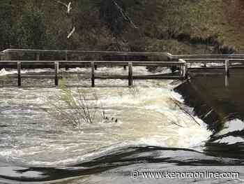 Black Sturgeon Lake down three inches since Friday - KenoraOnline.com