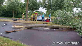 Auto rijdt boom omver: bestuurder gewond - 1Limburg | Nieuws en sport uit Limburg
