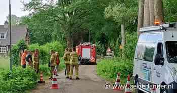 Waterleiding gesprongen, brandweer moet mogelijk boom weghalen om te kunnen repareren - De Gelderlander