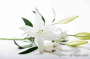 Albert “Al” Blaise Maslowski, 90, St. Wendel - WJON News