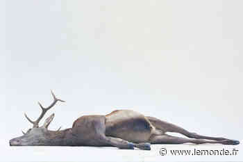 Exposition : l'antiphotographie perturbante d'Eric Poitevin aux Beaux-Arts de Lyon - Le Monde