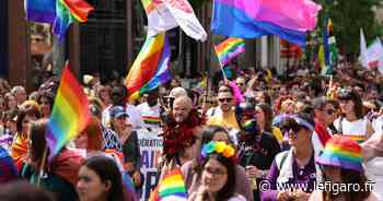À Lyon, des cortèges «en non-mixité» défileront lors de la Marche des Fiertés - Le Figaro