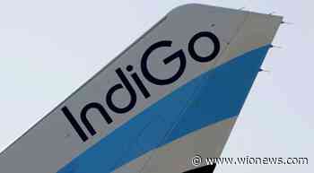 India: Civil aviation watchdog imposes fine on IndiGo for not allowing disabled child to board - WION